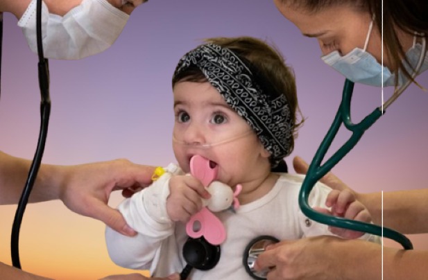 Untitled removebg preview